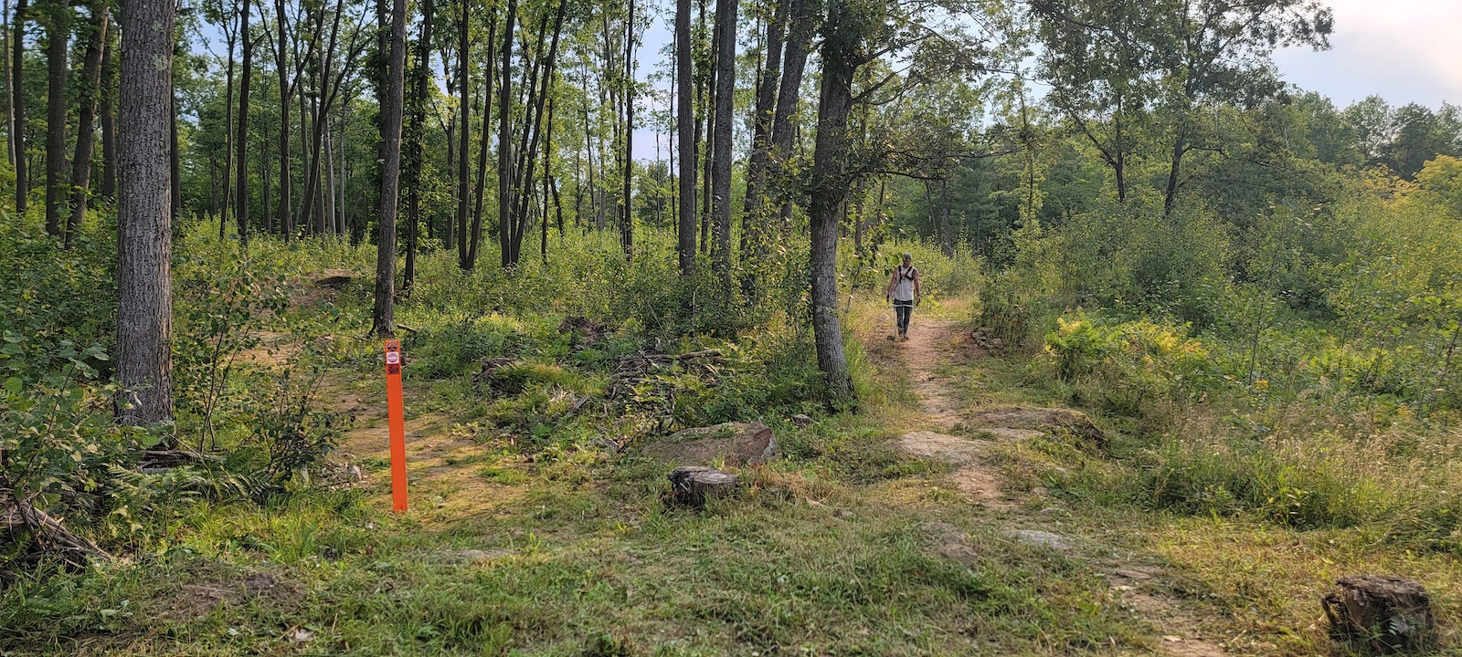 Trimming the trails