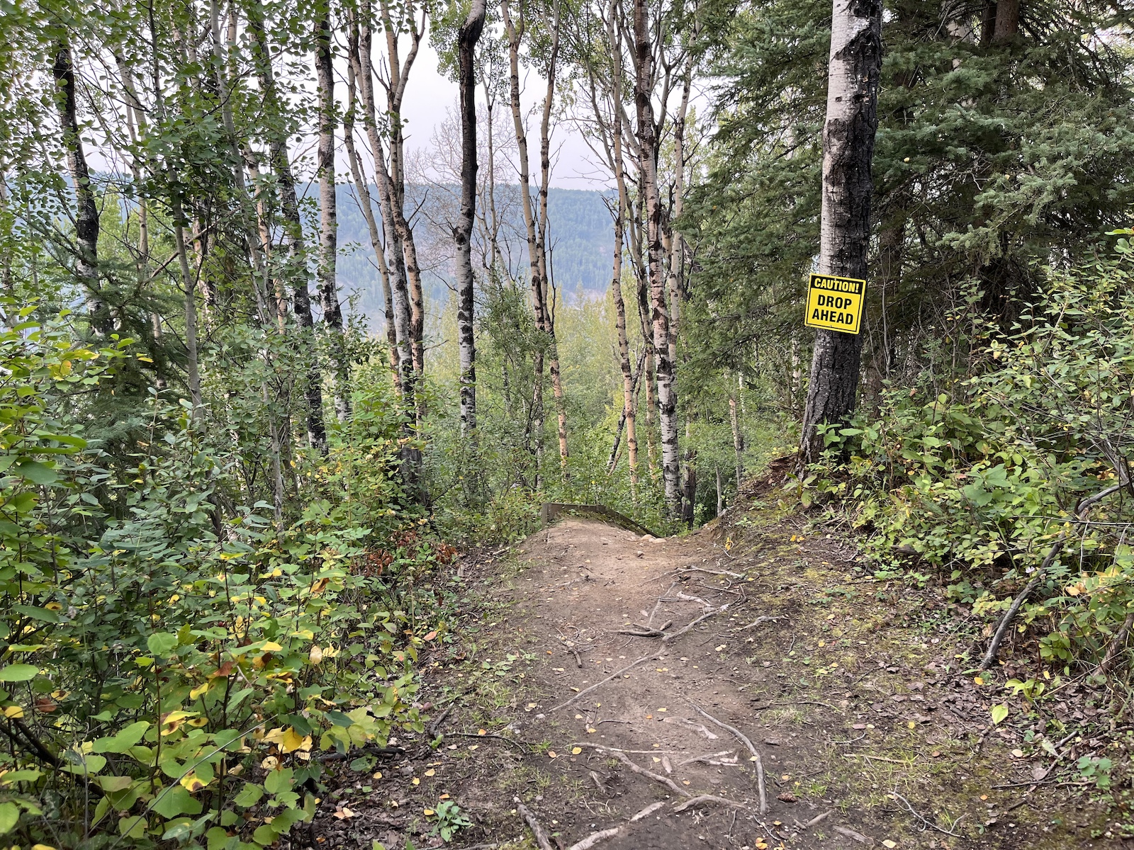 The roll in at the start of the trail. About 12 feet down, with no drop.