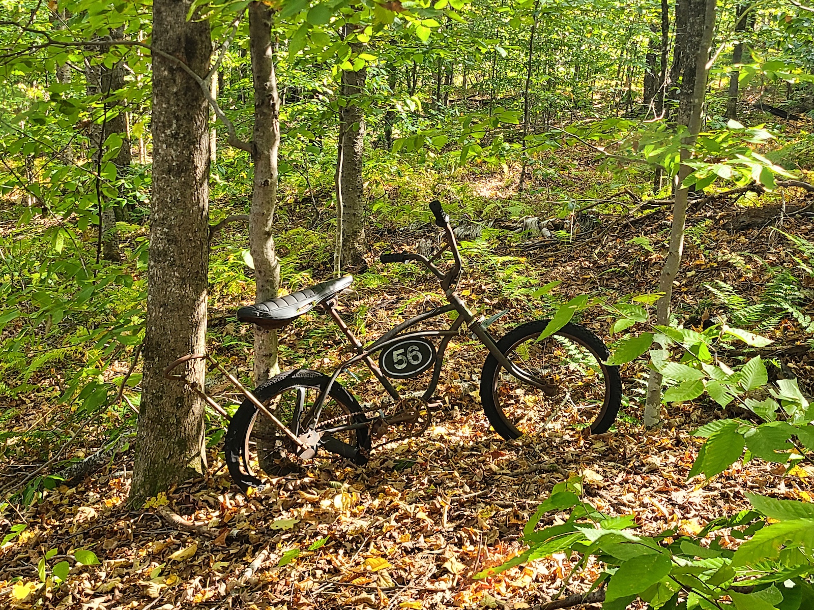 A vintage bicycle with a "58" tag resting against a tree in a deciduous forest.