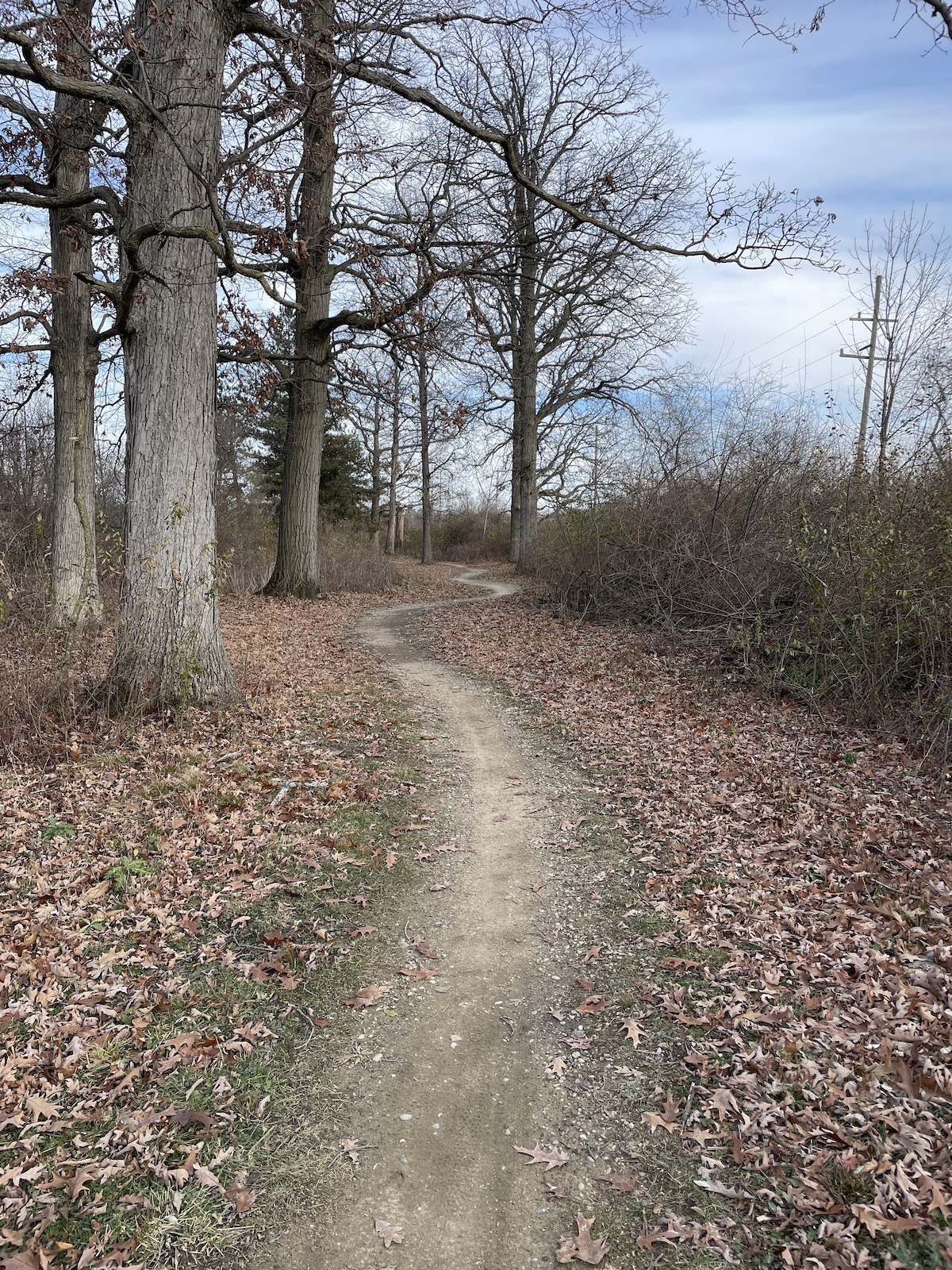 typical trail section