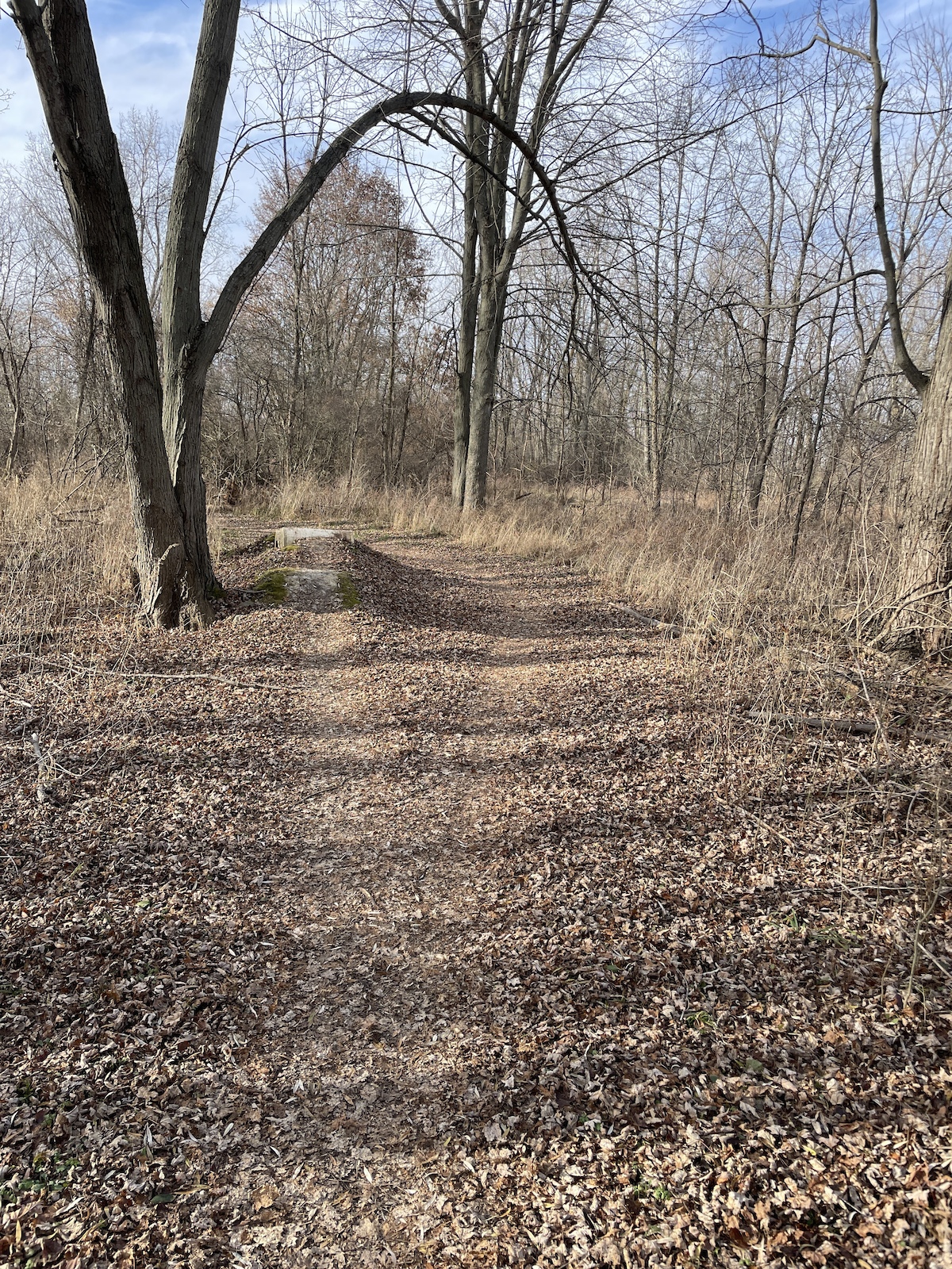 typical trail section