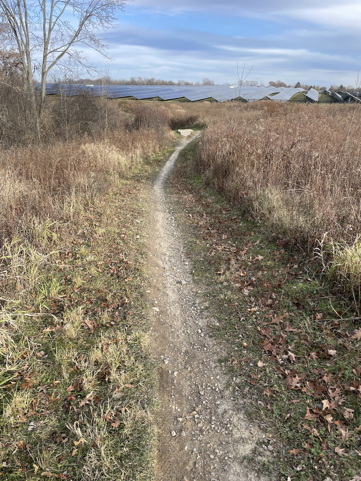 typical trail section