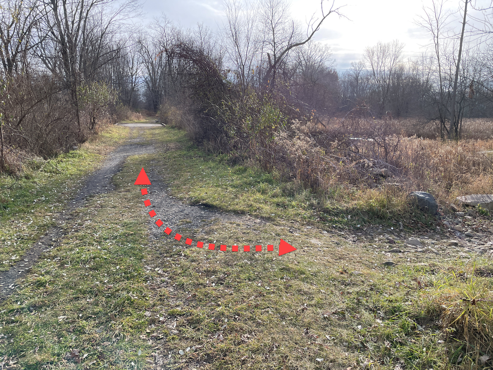 typical trail section