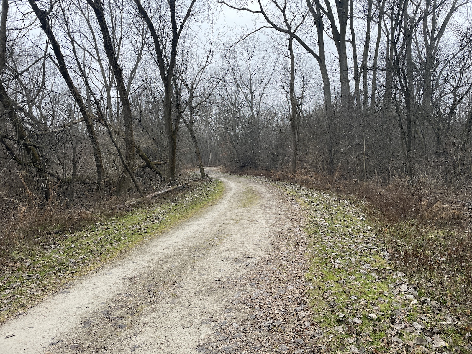 typical trail section