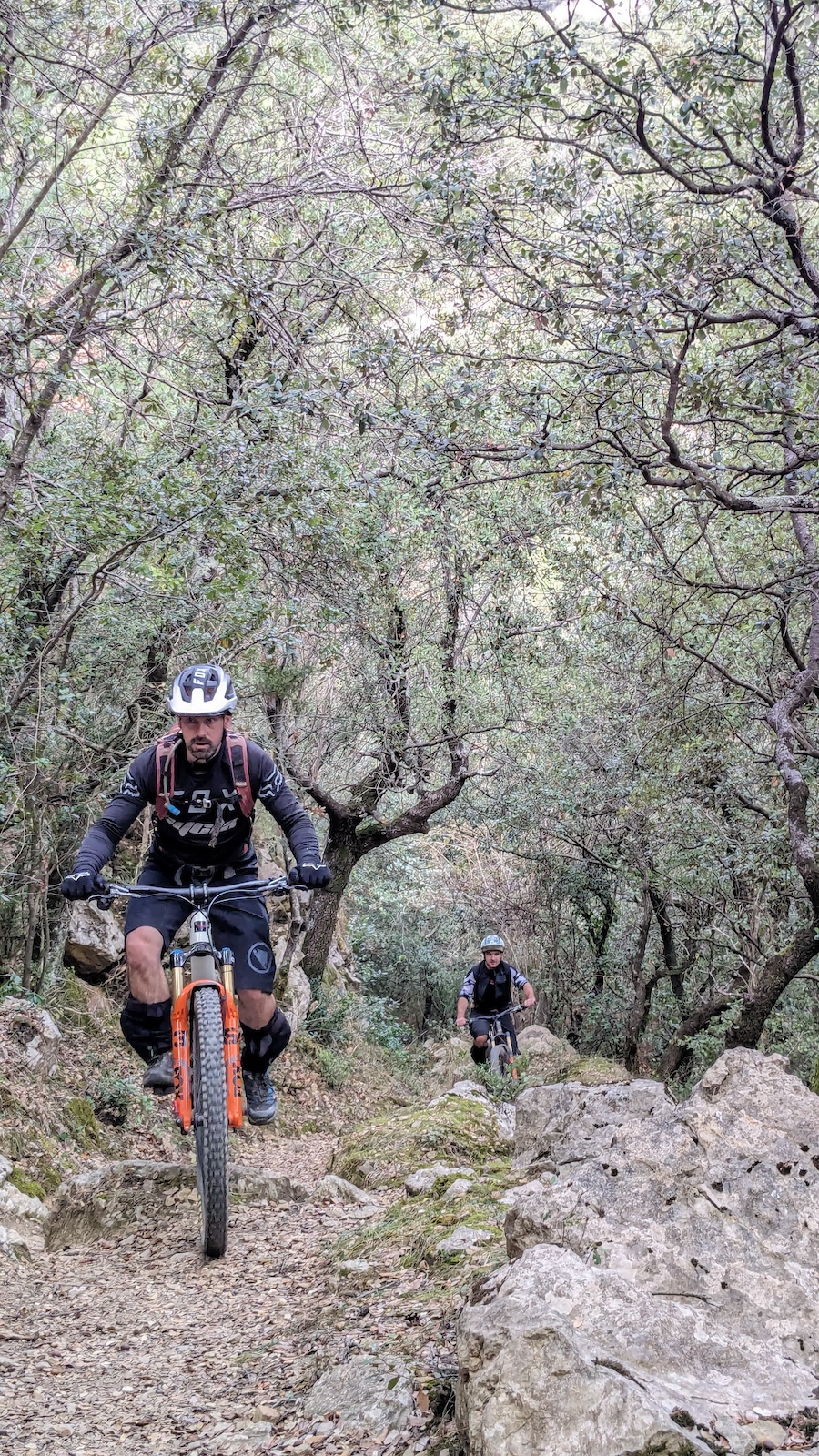 Mountain bikers riding on a rocky trail through sparse forest with rocks.