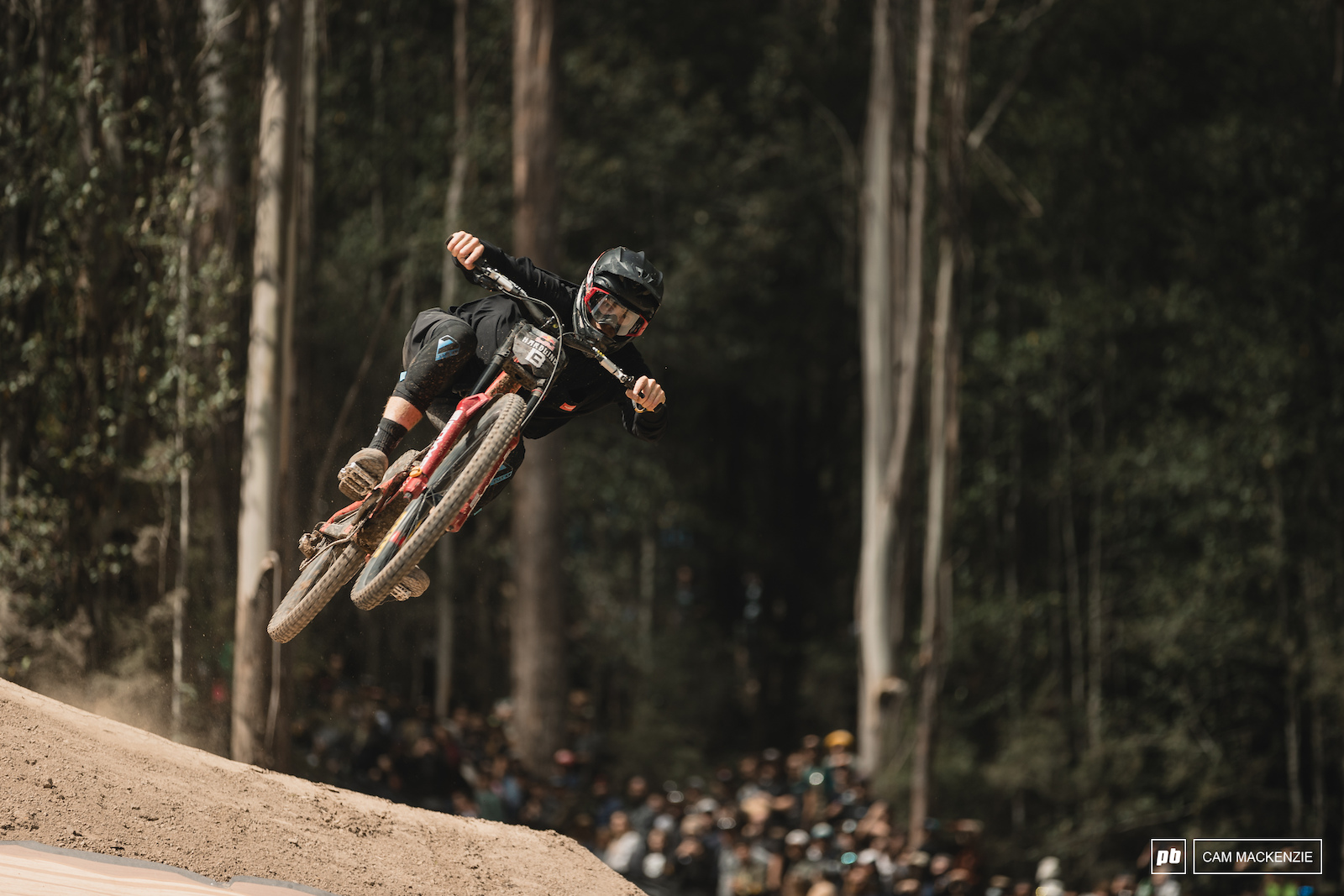 Finals Photo Epic Red Bull Hardline Tasmania 2024 Pinkbike