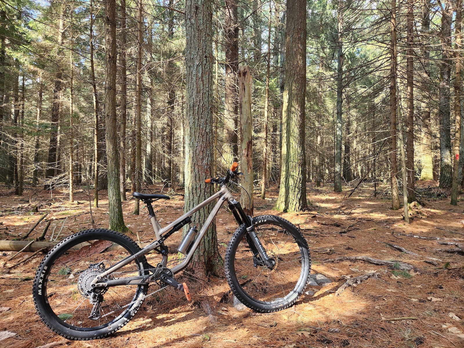 Doing some XC riding on the big bike