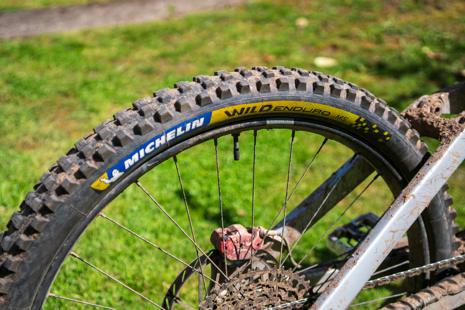 Michelin wild dh sale