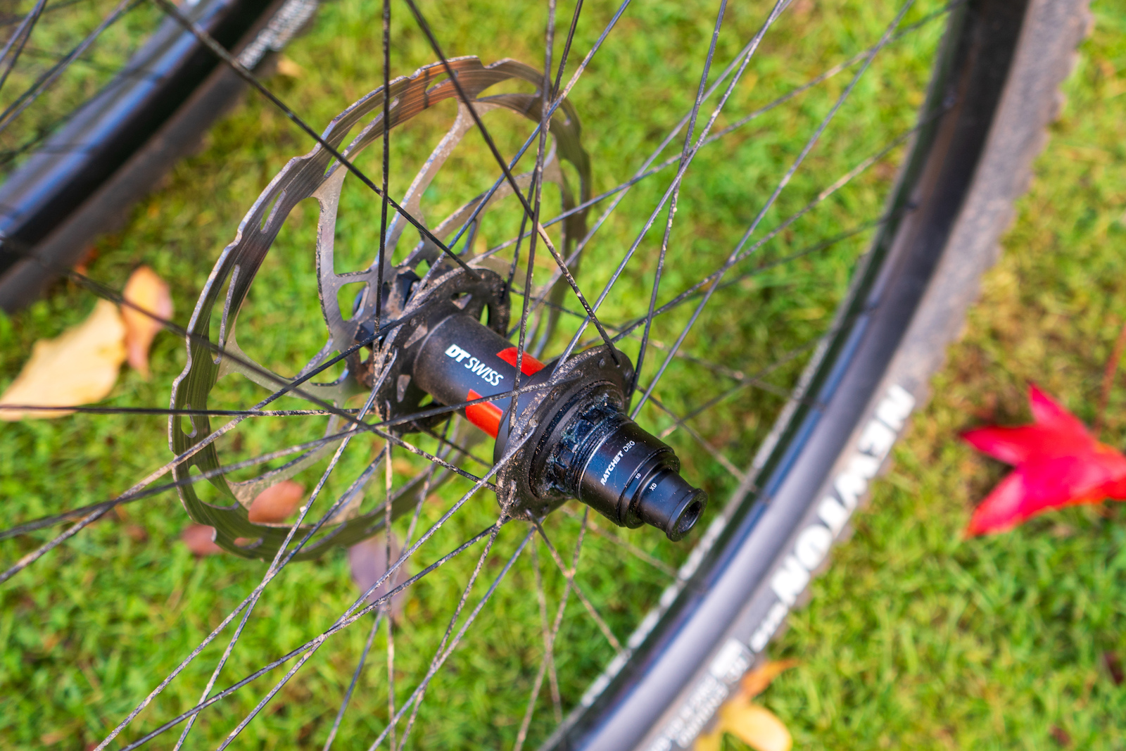 Review 6 Months with the New DT Swiss 240 DEG Hubs Pinkbike