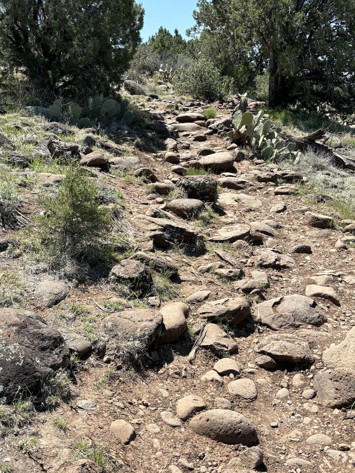One of many similar rock gardens.