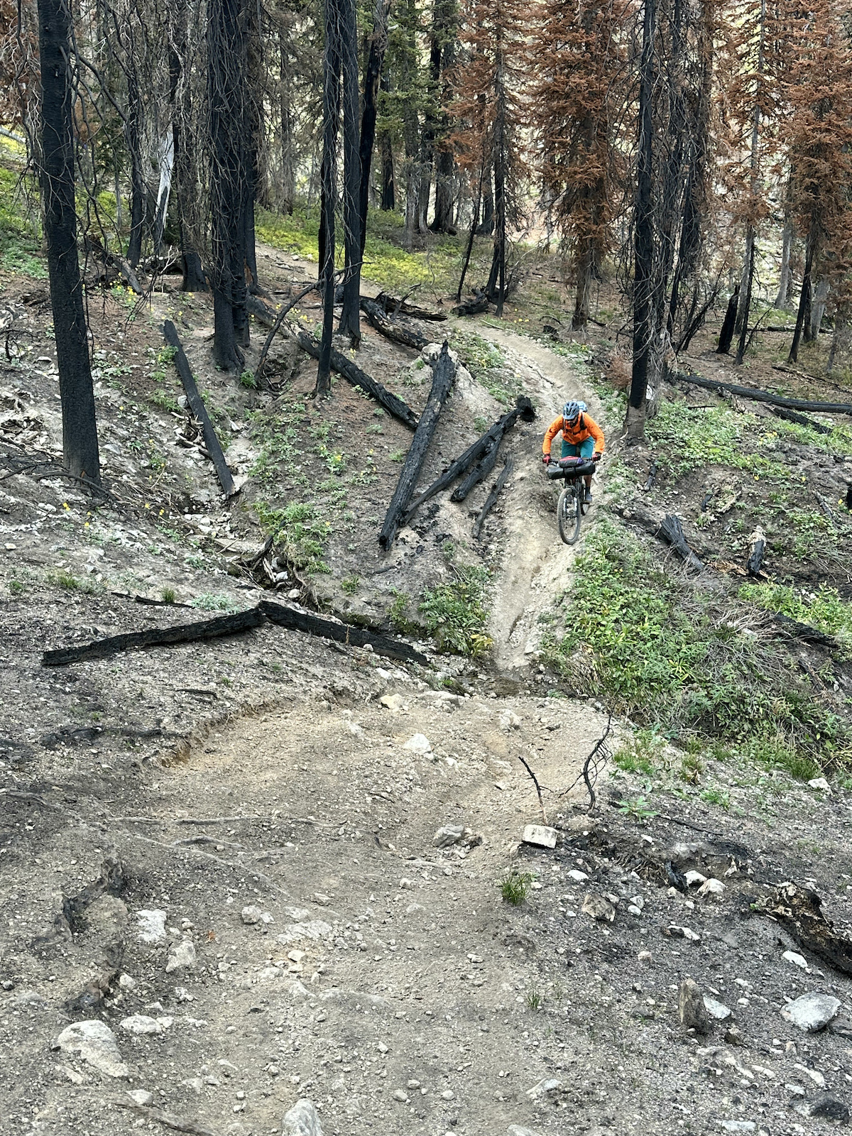 Trail has been subject to significant erosion after the Ross Fork fire.  It is getting bedded in well again