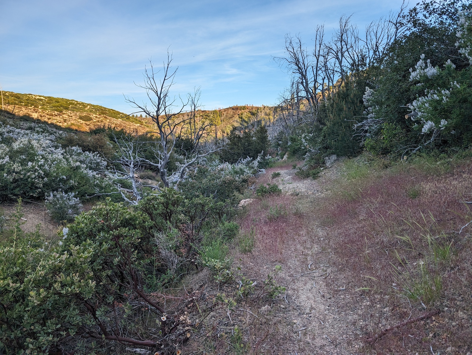 Middle section between fire roads