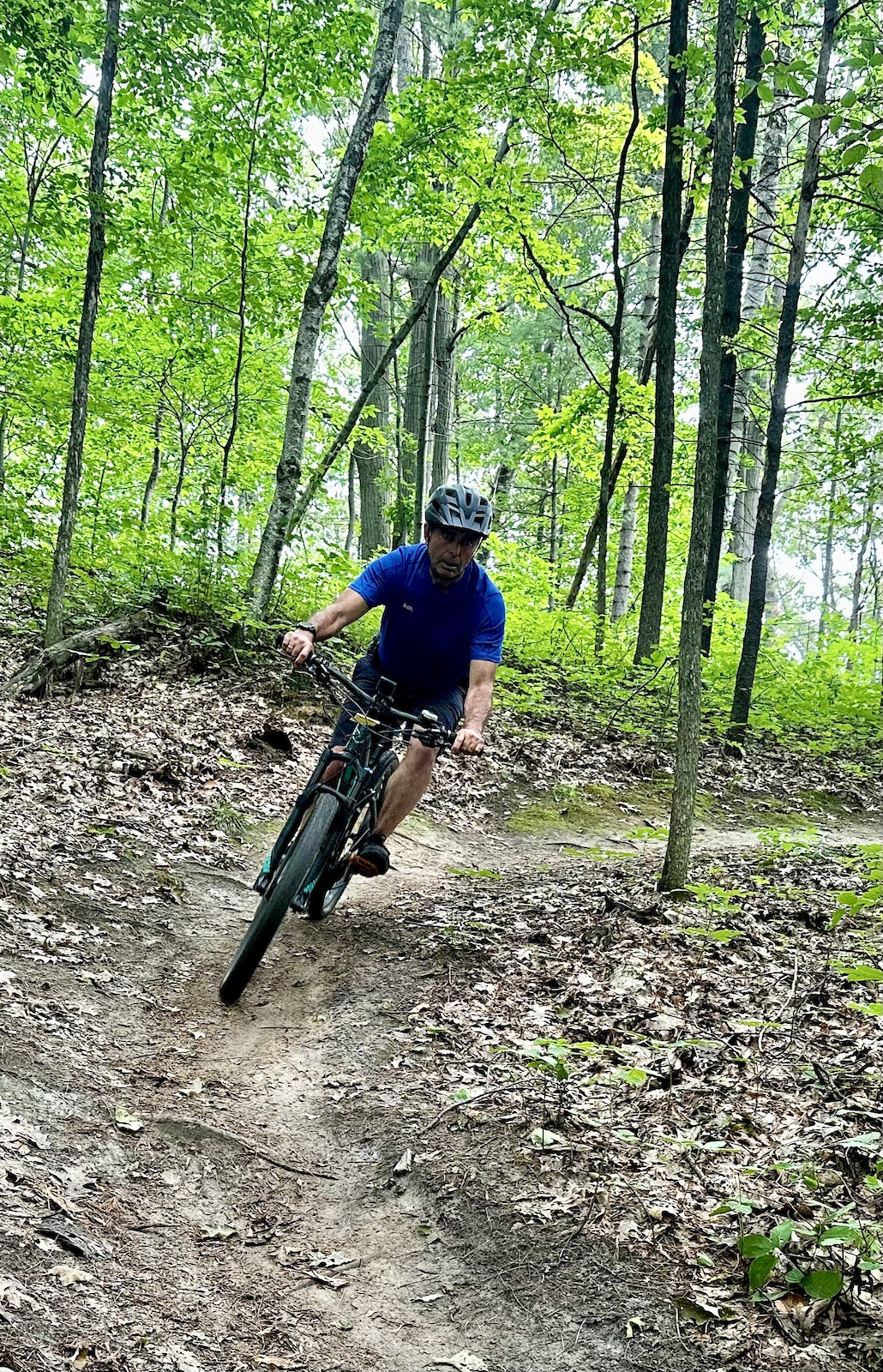 shredding