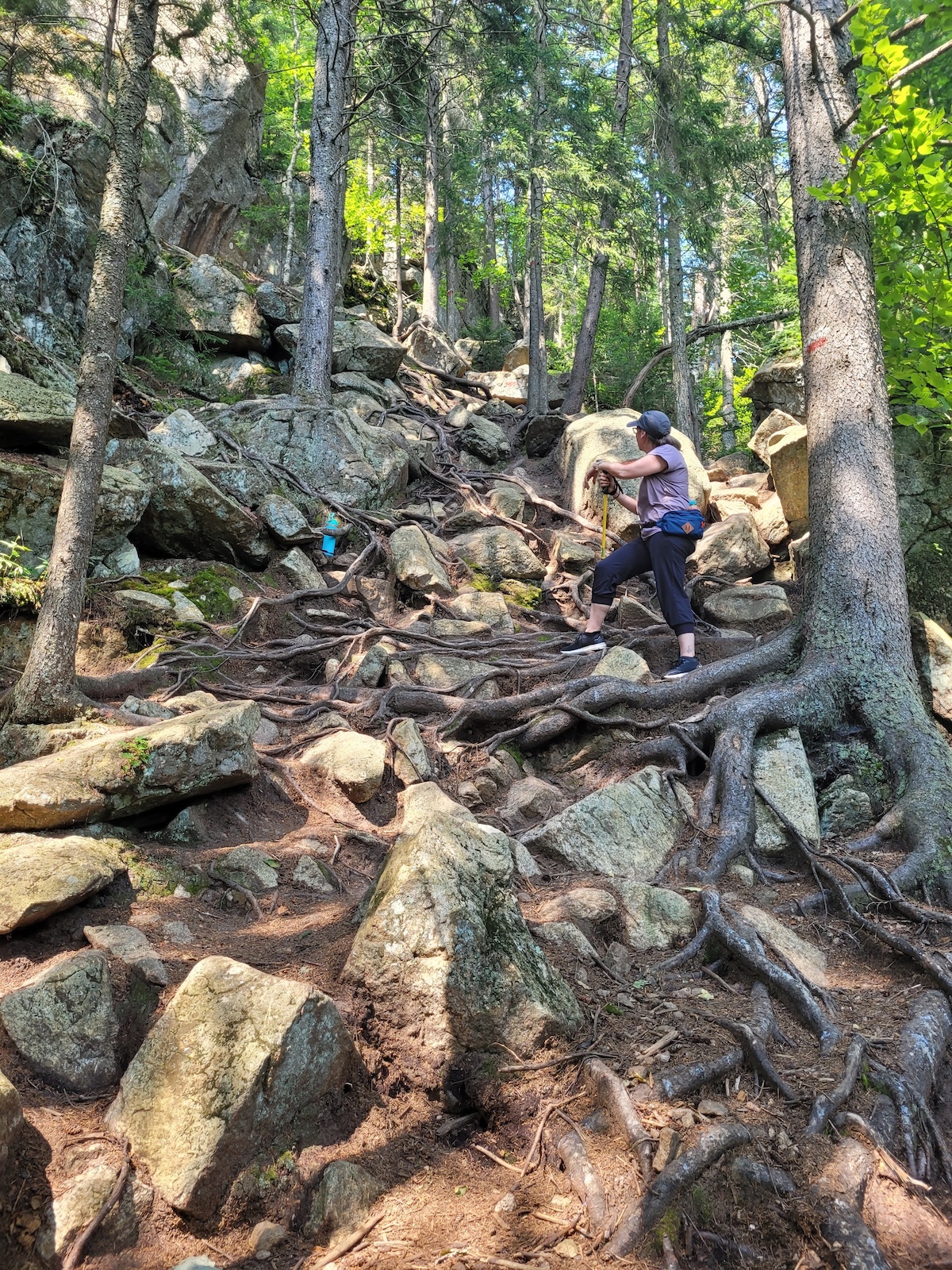 Montée du Sentier du Vaillant... Parc du Mont Wright