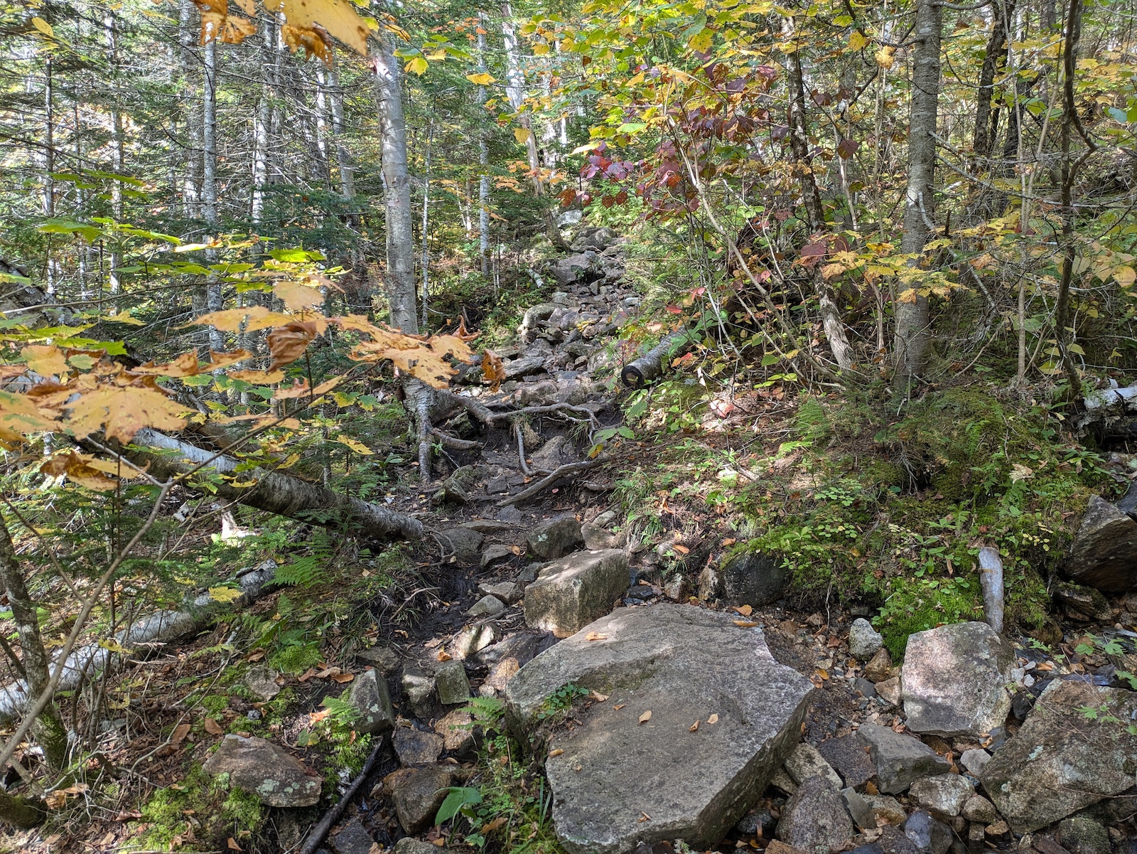 Steep, rocky stretch of the trail