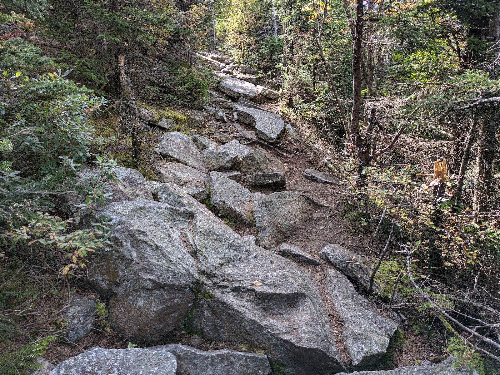 Rocky stretch in the switchbacks approaching Bunnell Rock view point