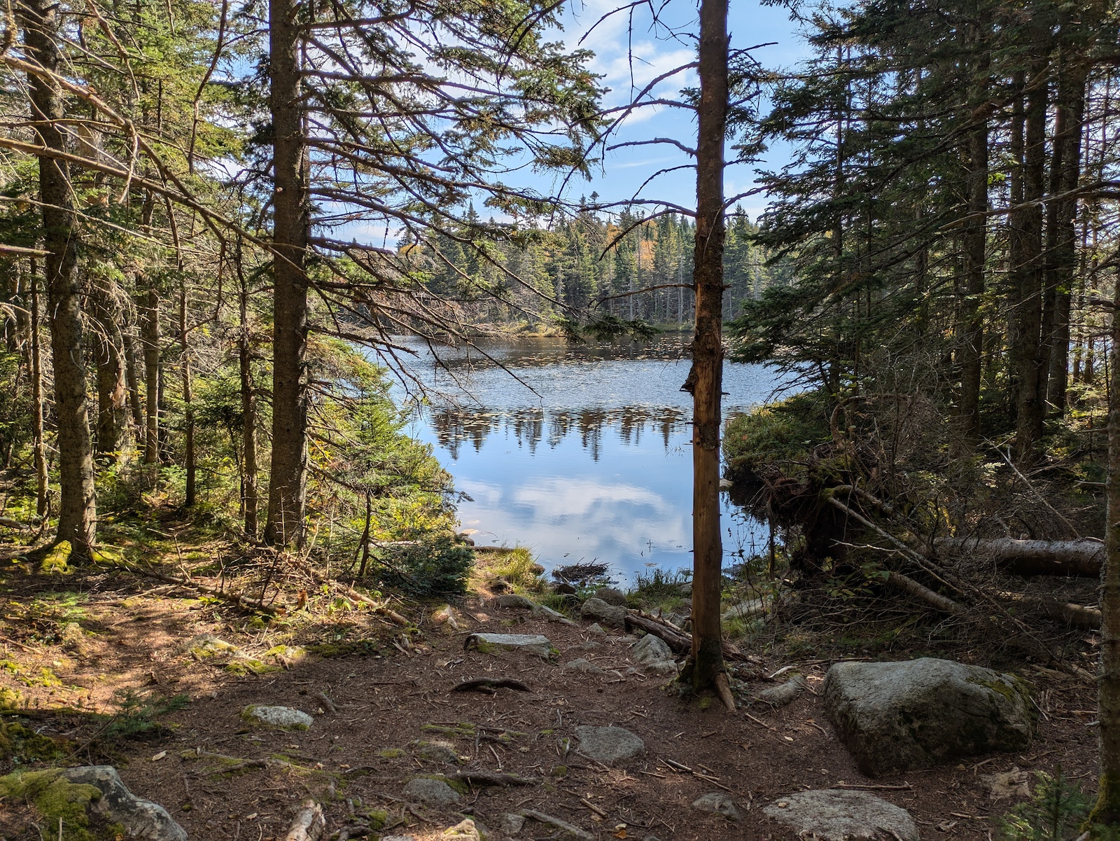 Unknown Pond