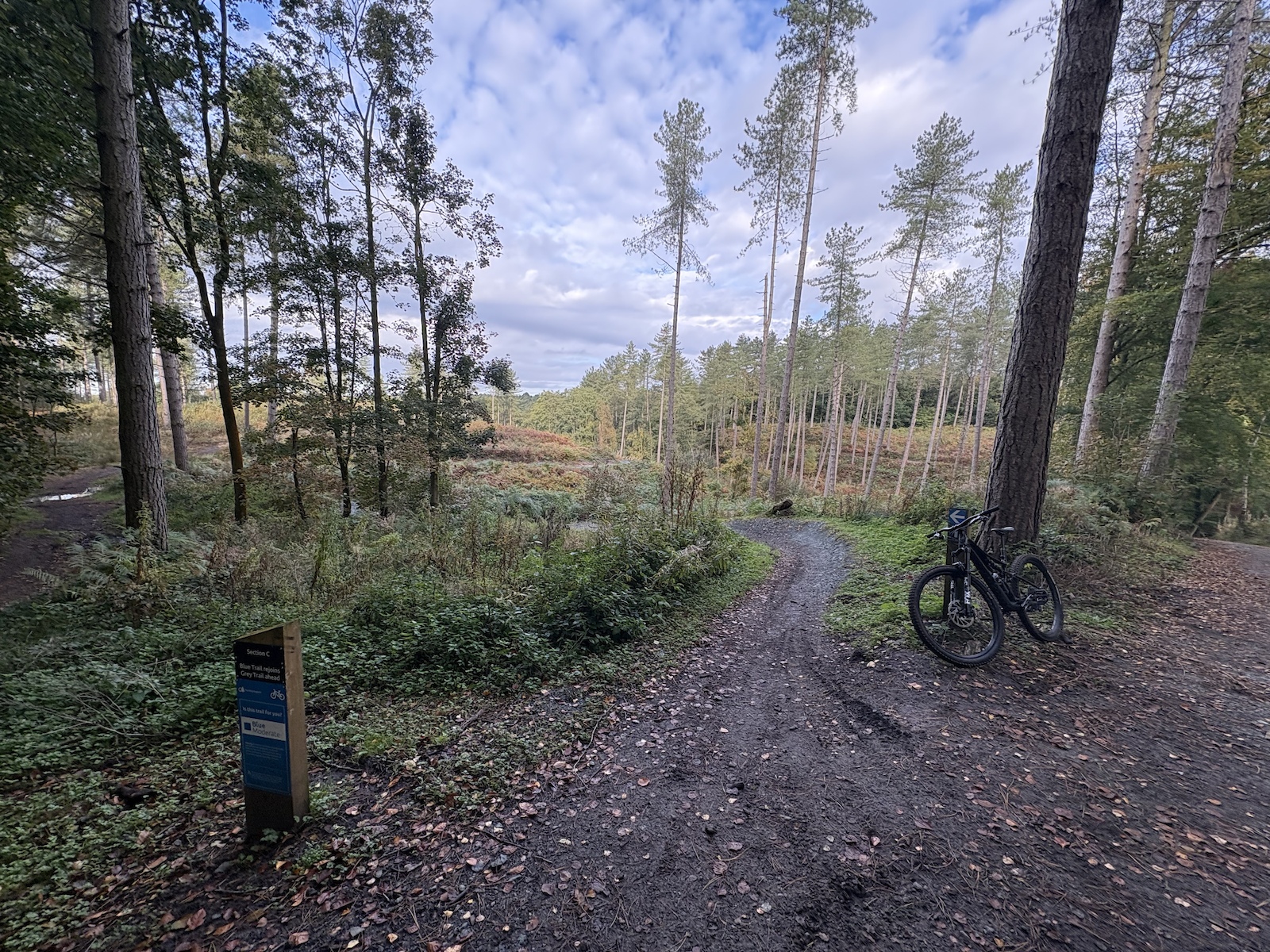Entrance to section C. Probably the best of all the Blue sections. Starting with a couple of tight downhill berms into a short climb then downhill again with a small roller and a couple more berms. A small wooden bridge at the bottom leads to a long climb for the rest of this section. About 50% downhill and 50% climbing.