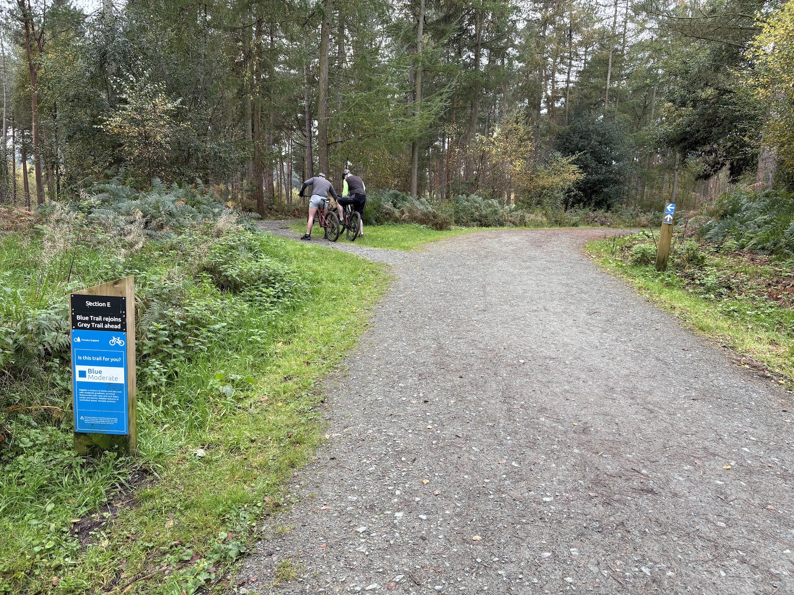 Entrance to section E. The second best section of the Blues. Currently TrailForks has the entrance at the wrong end of the trail. It’s all downhill with several tight berms.