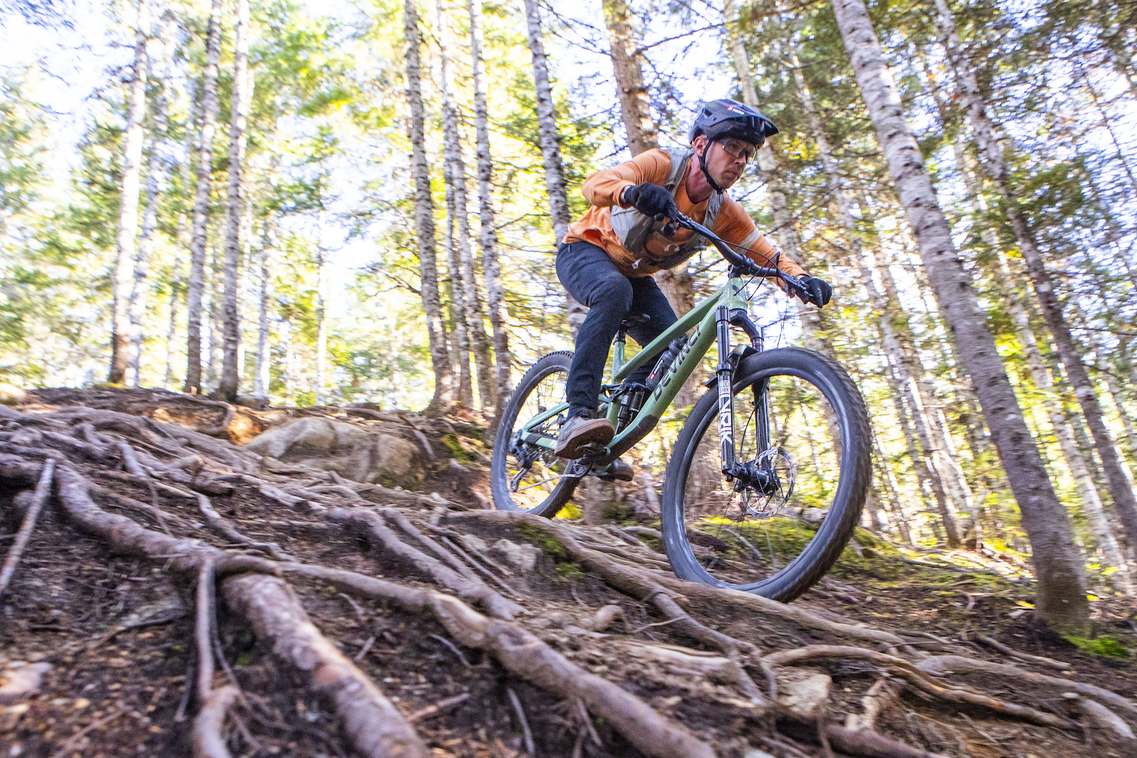 Field Test: 2025 Devinci Troy - No Hidden Suprises - Pinkbike