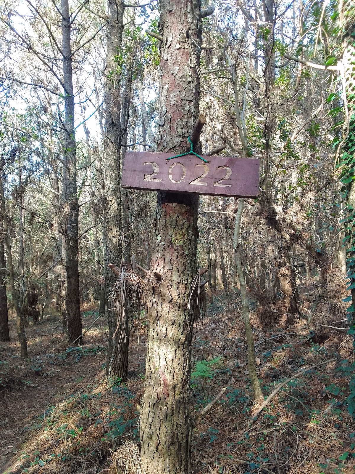 The name of the trail