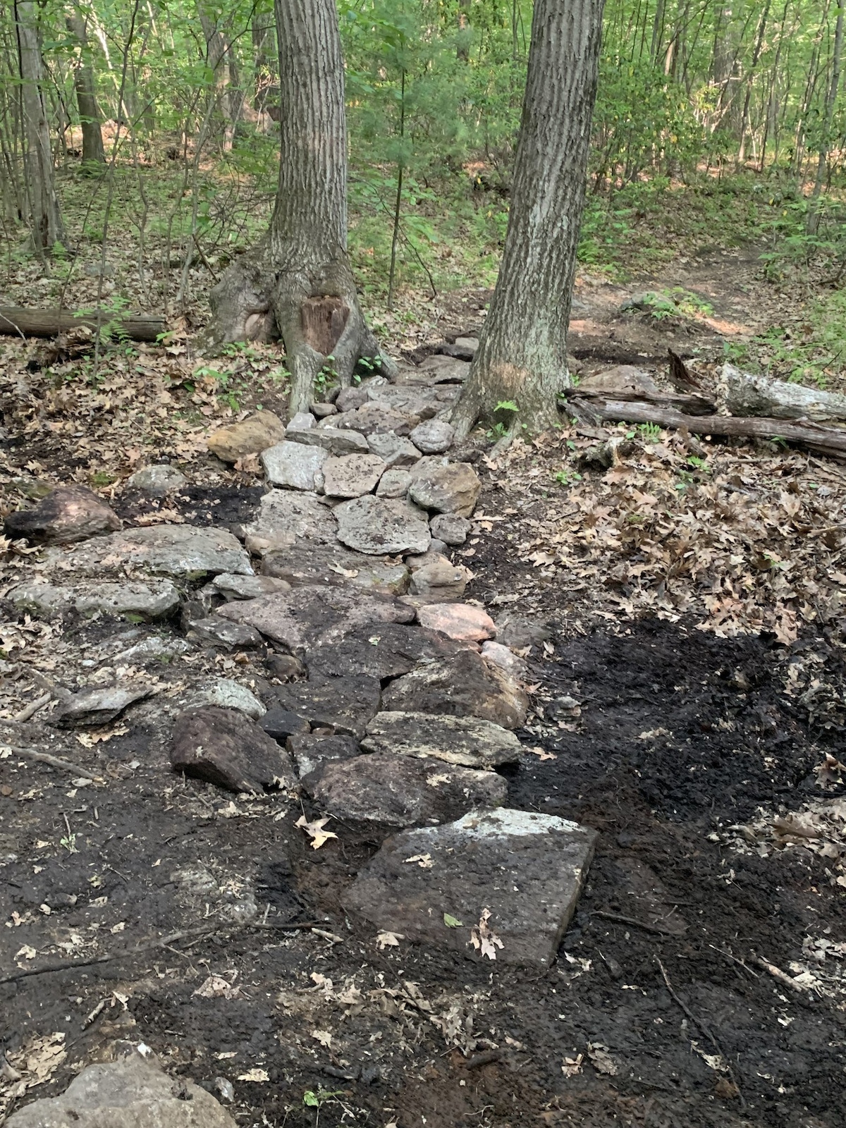 Rock lined stream crossing on High Life (white/red)