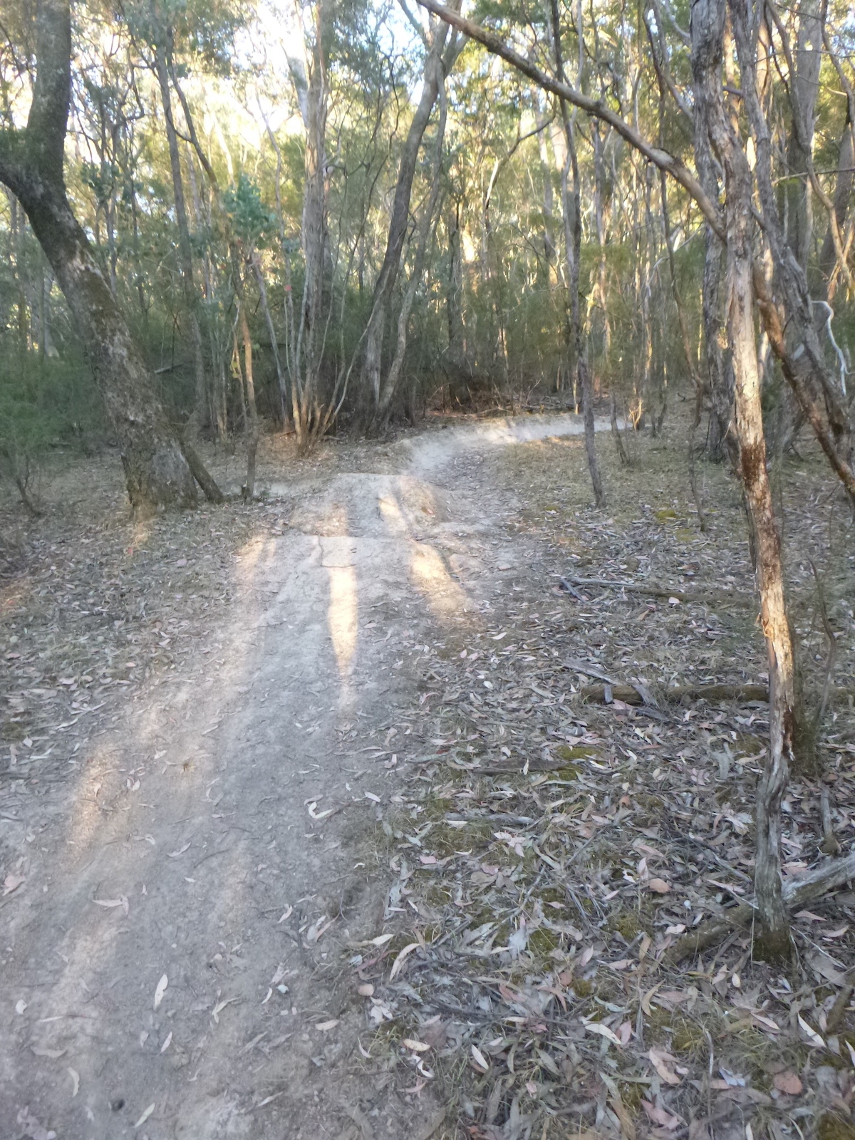 Bronzewing has been rebuilt and now features a few easy jumps and twisty berms