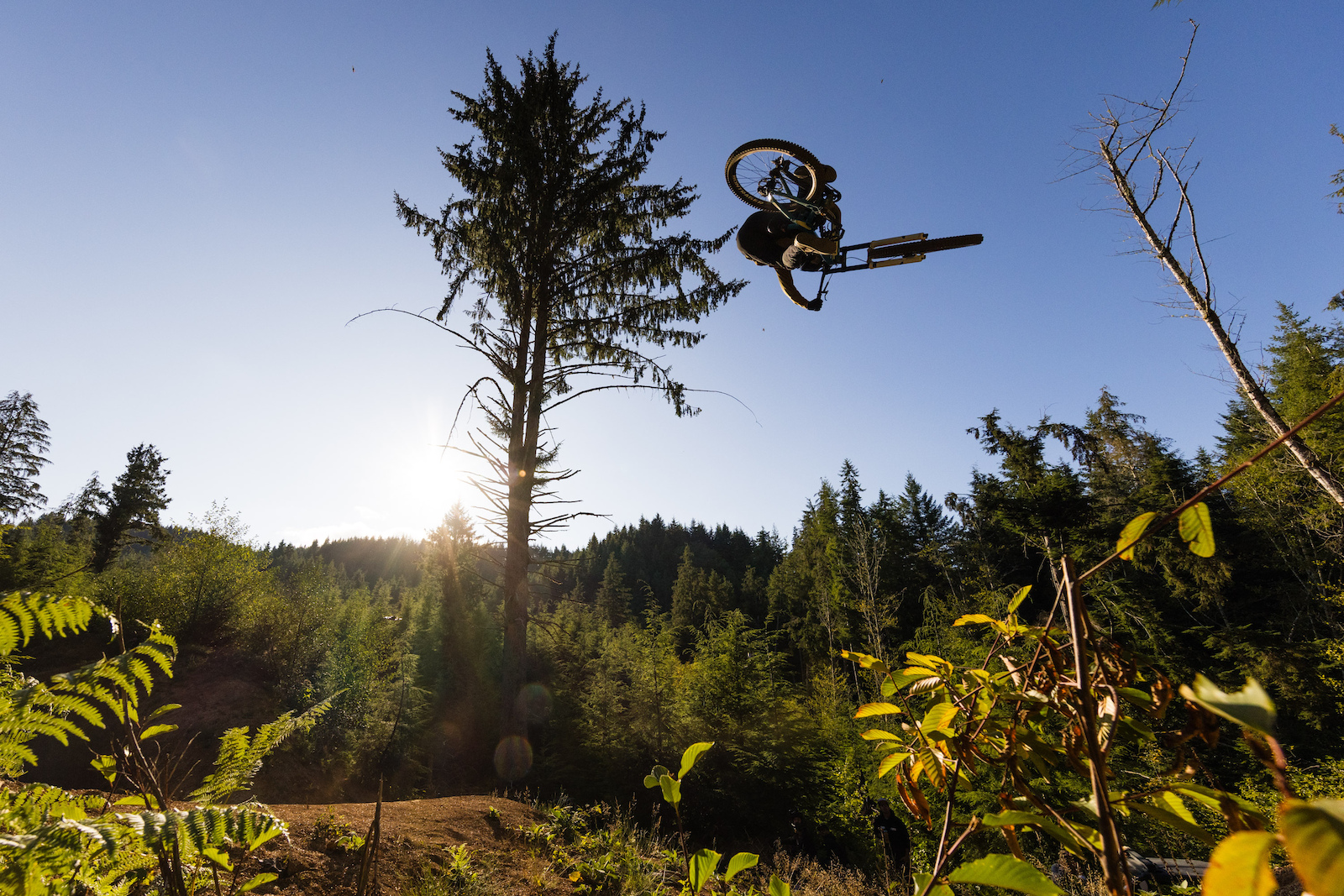 Cam McCaul 试验场,俄勒冈州太平洋城