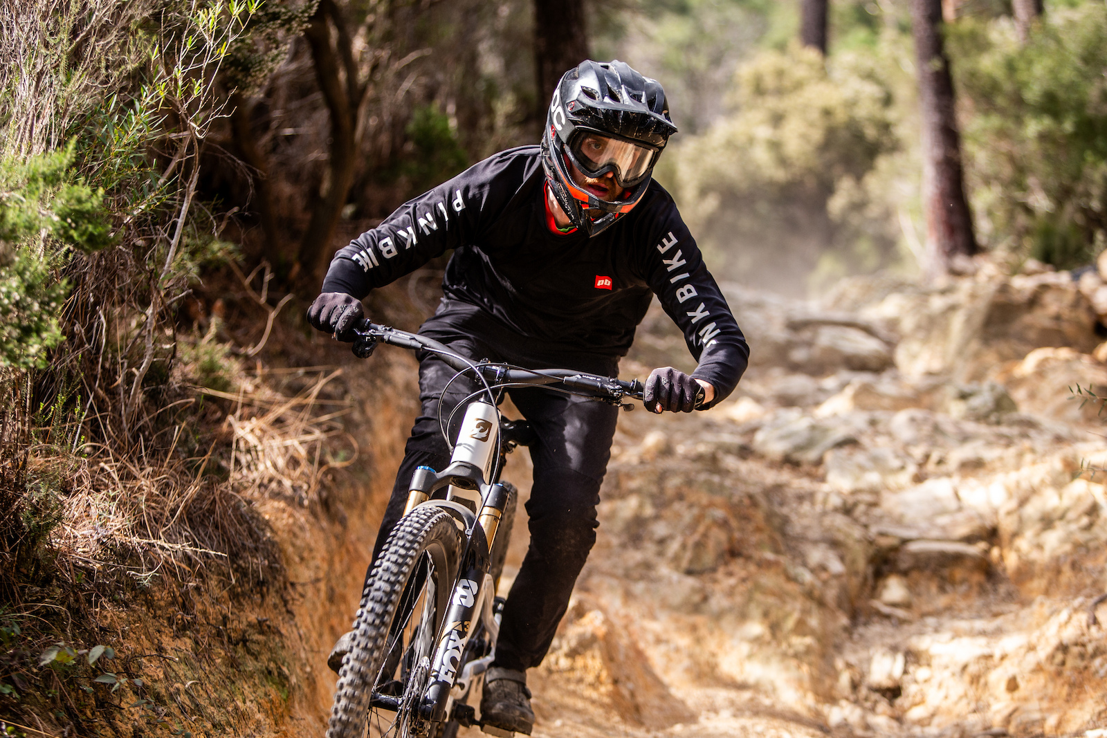 Review: The New Pivot Firebird is Well Balanced & Refined