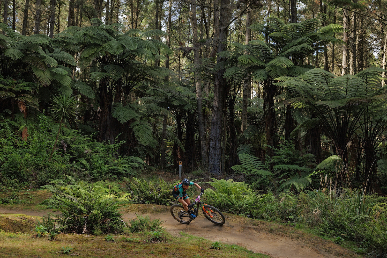 Schulz navigates a berm in Rotorua's famous Whakarewarewa Forest, known for it's volcanic 'hero dirt', in Stage 2 of the Shimano Volcanic Epic