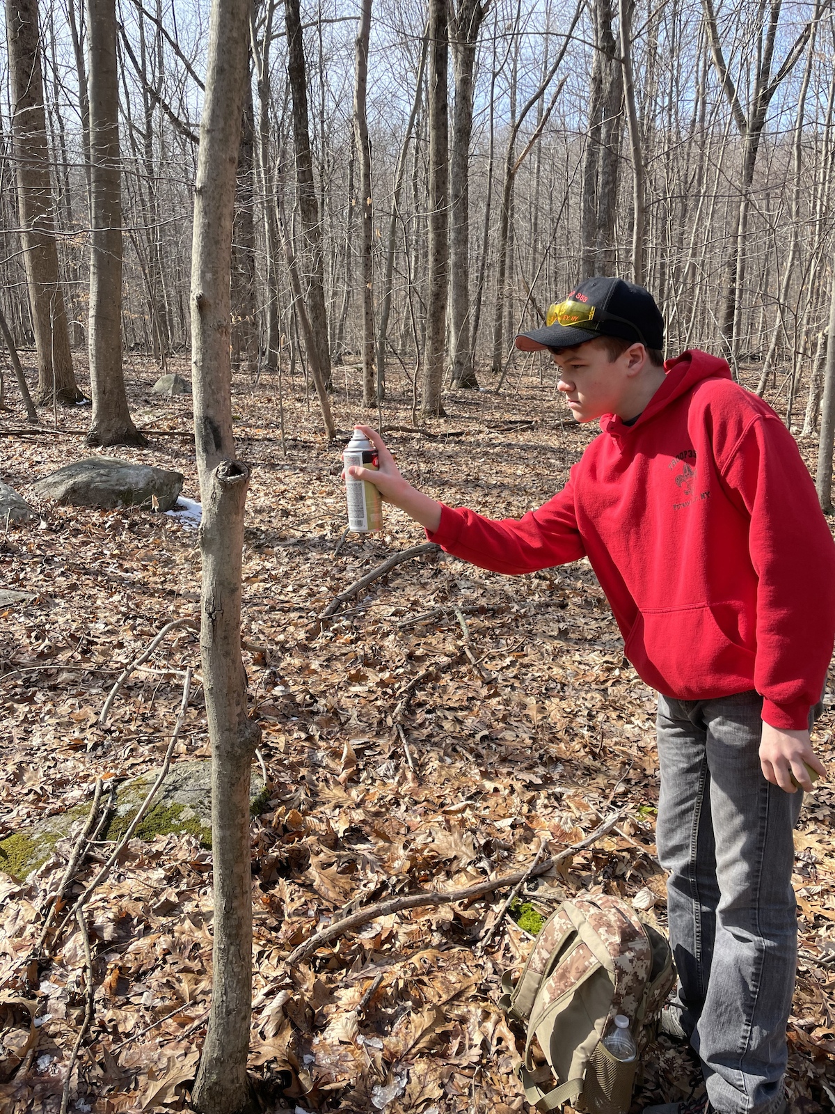 A person in a red jacket marking a tree in a leafless forest with fallen leaves.