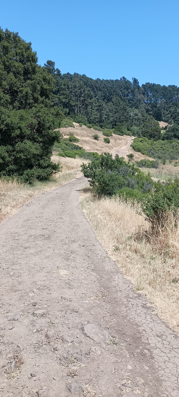 A dirt trail through dry grass and scrub ascending toward a hillside in summer.