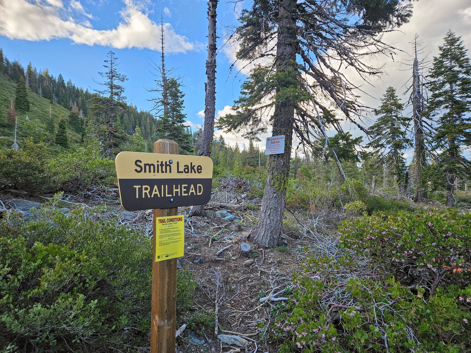 Entrance to Smith Creek Trail from Graeagle Creek Trail at the parking lot.