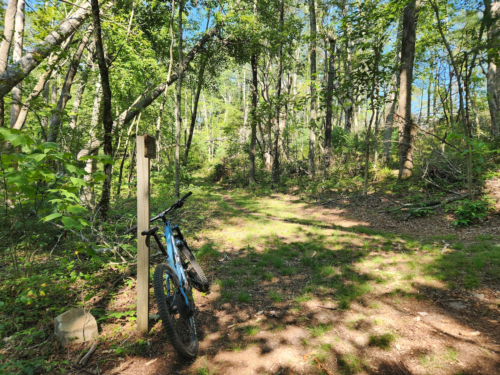 At the intersection of the Slaw Gap, Beartree Gap and Iron Mountain Trails.