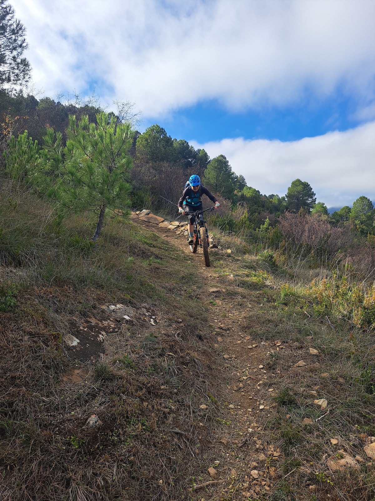 A mountain biker rides down a rocky dirt trail through green forest and scrubland.