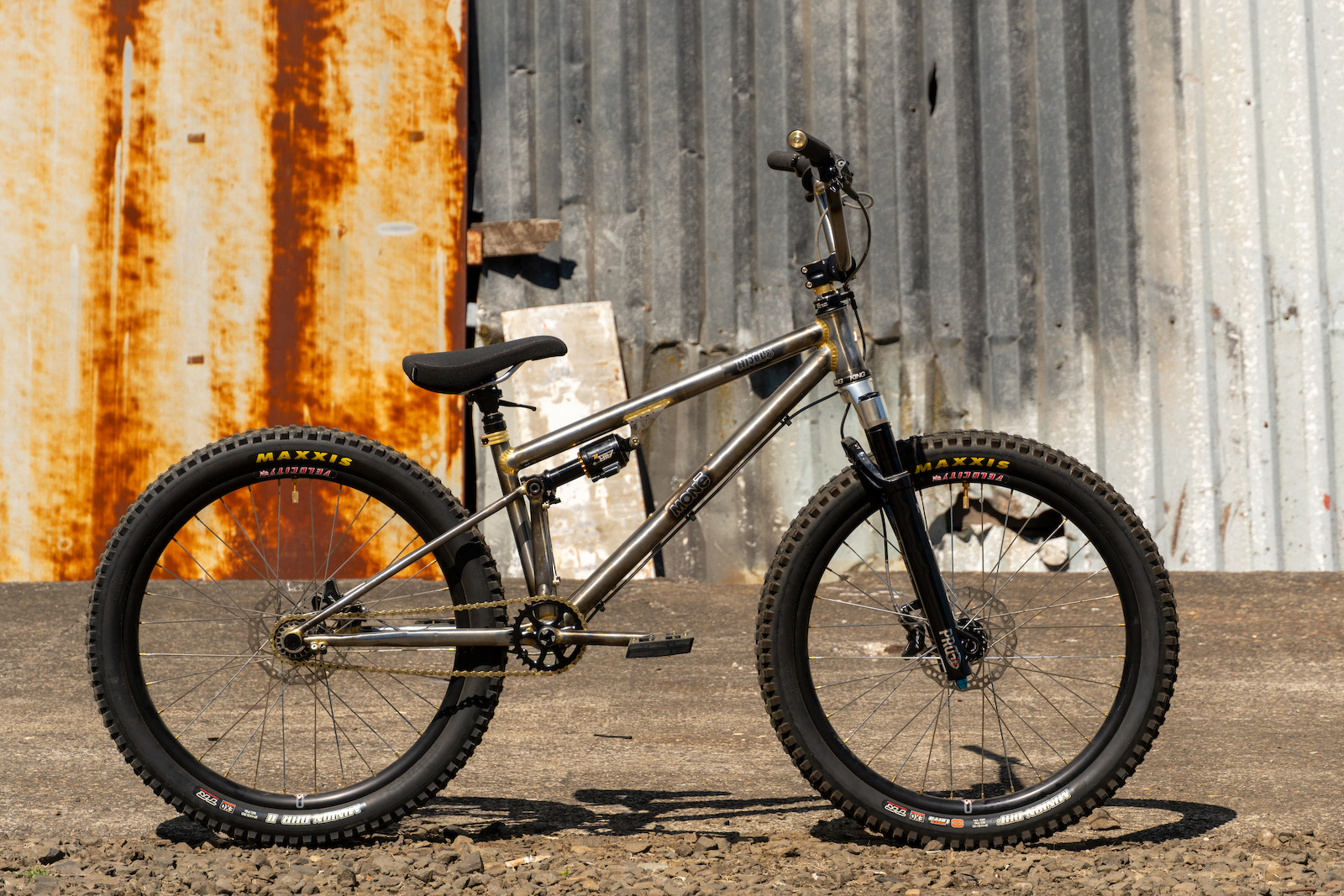 Bike Checks: Monē Full-Suspension BMX & Coaster Brake Enduro Bike