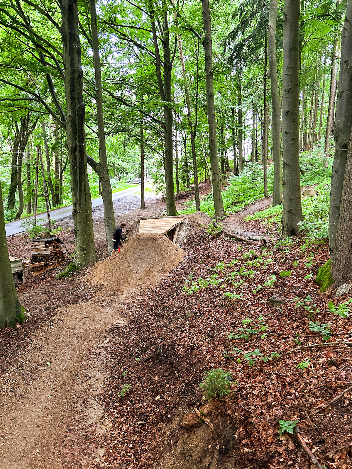 A mountain biker on a dirt trail with wooden bridge feature in a forest.