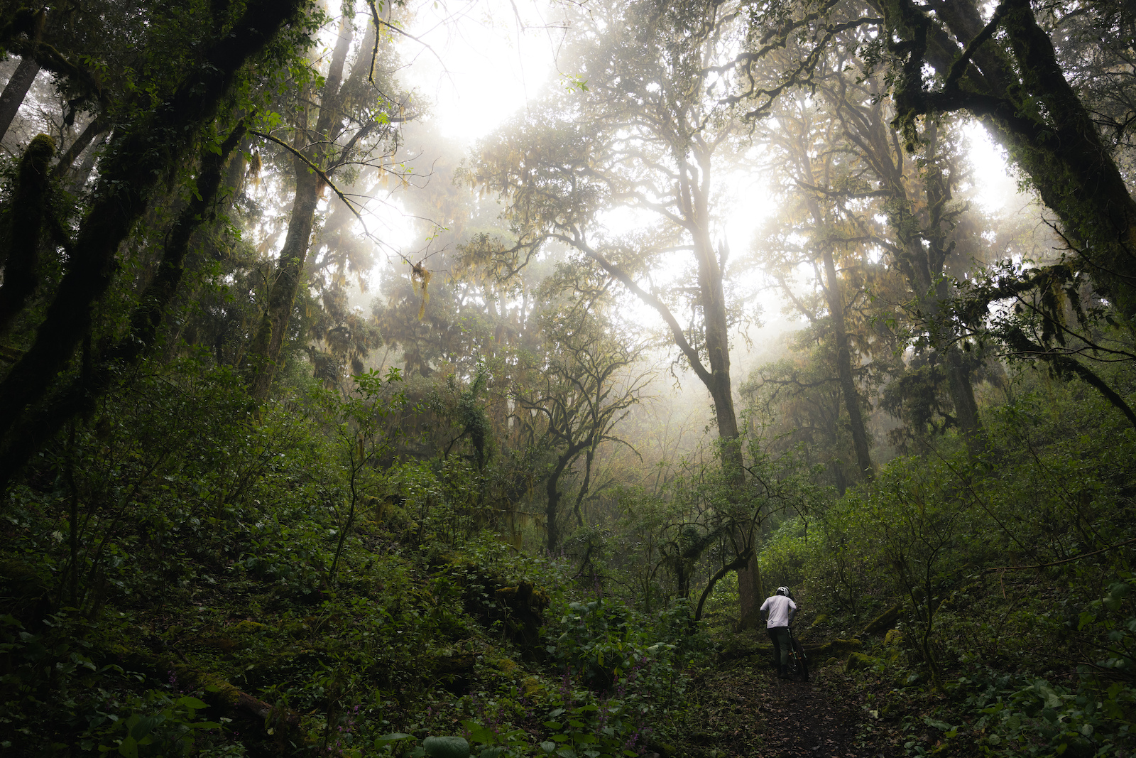 Jungle Loam & Desert Descents: Inside the Into The Gnar Oaxaca