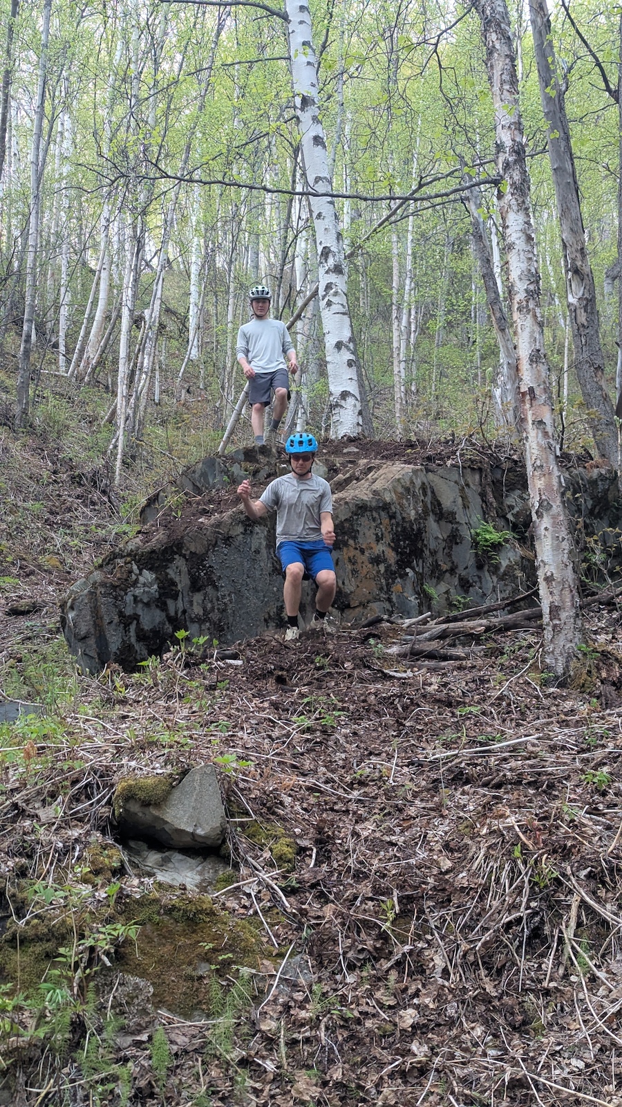 Two trail runners navigate rocky and rooted terrain through a birch forest.