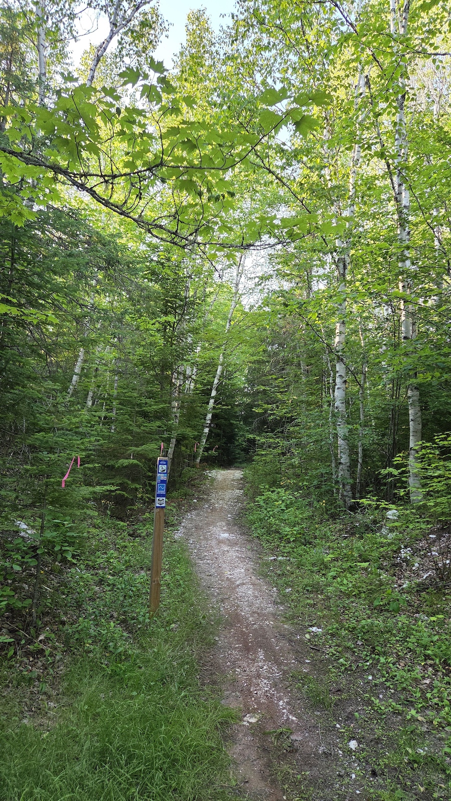 Trail entrance