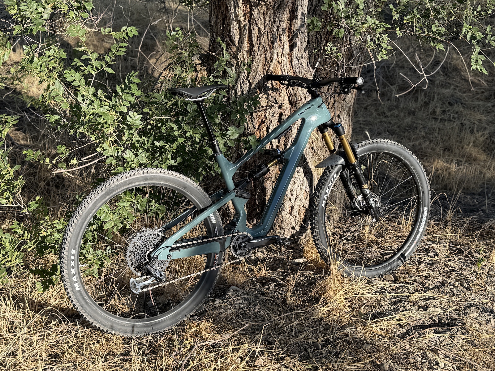Did a few miles on the Jordan Parkway Horse Trail to function check the new suspension