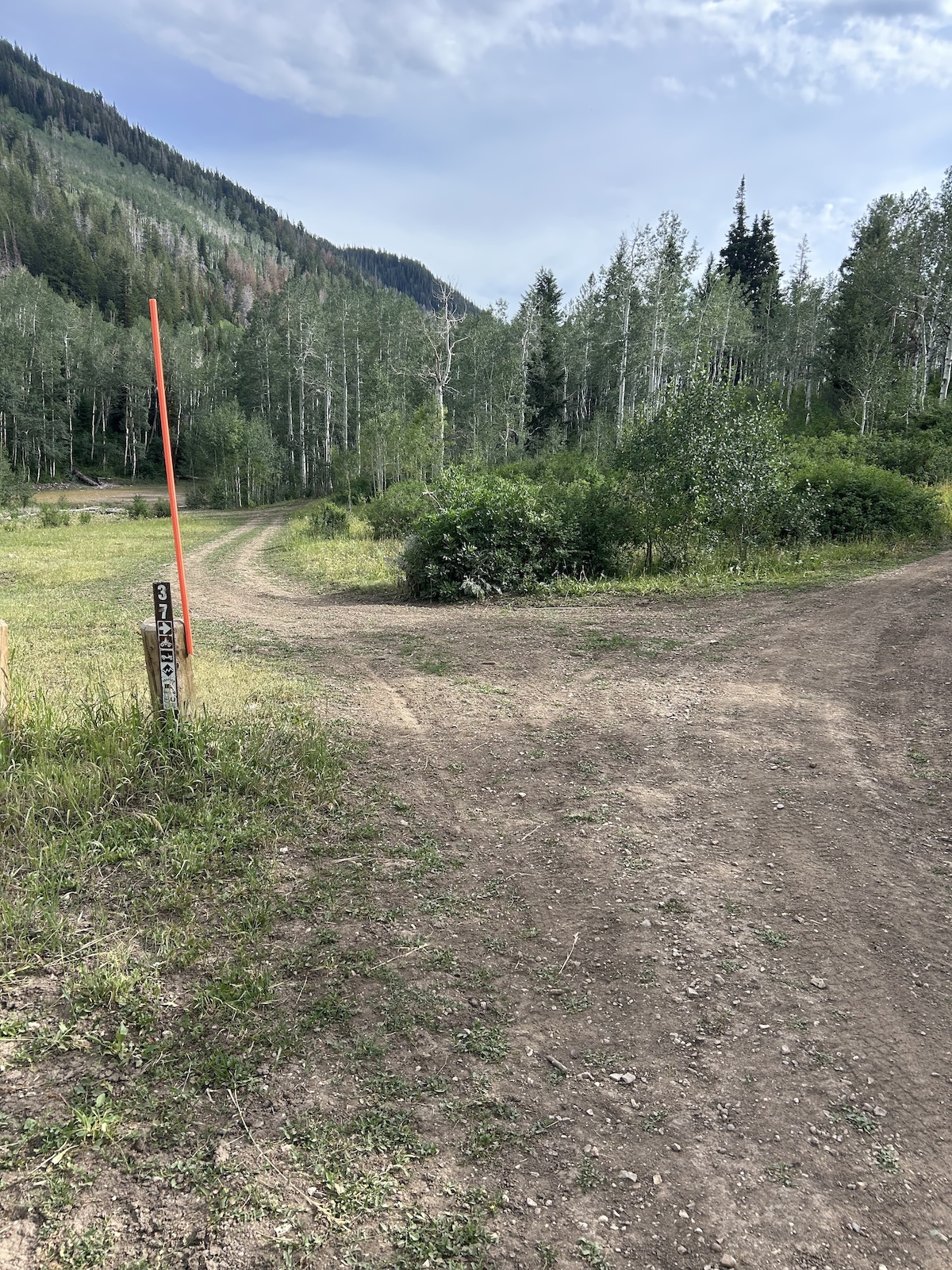 A trail junction in a meadow with a red marker post, valley views, and forested mountains in the distance.
