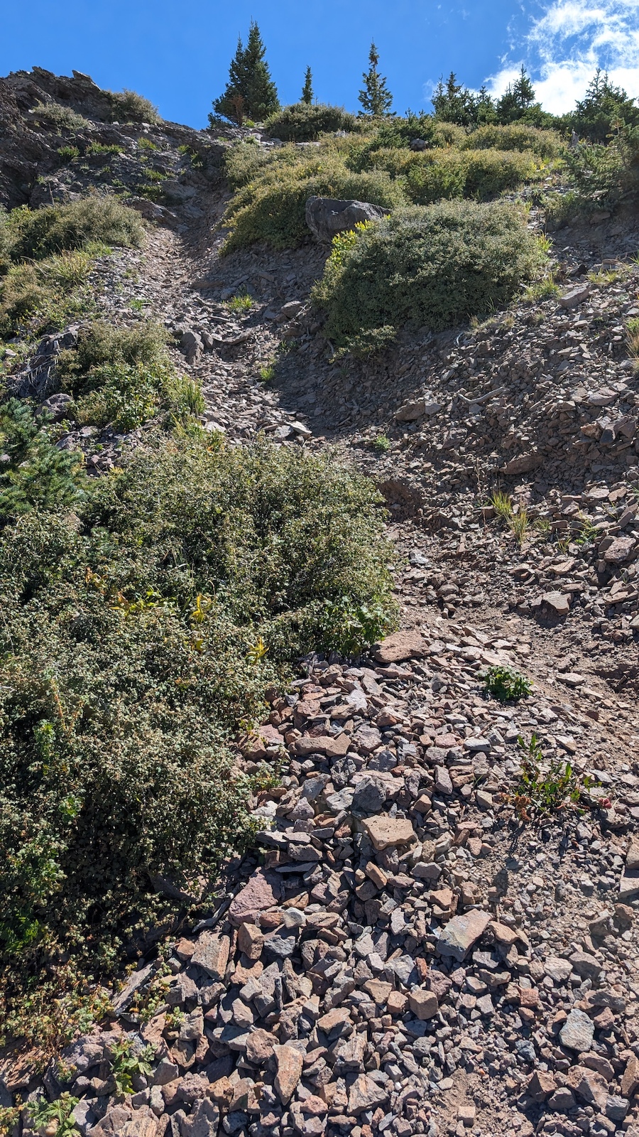 A rocky volcanic hillside with sparse shrubs and conifers on the ridge.
