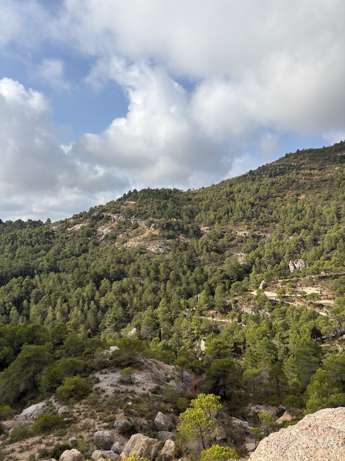 A forested hillside with rocky outcrops and scattered trees beneath cloudy sky.