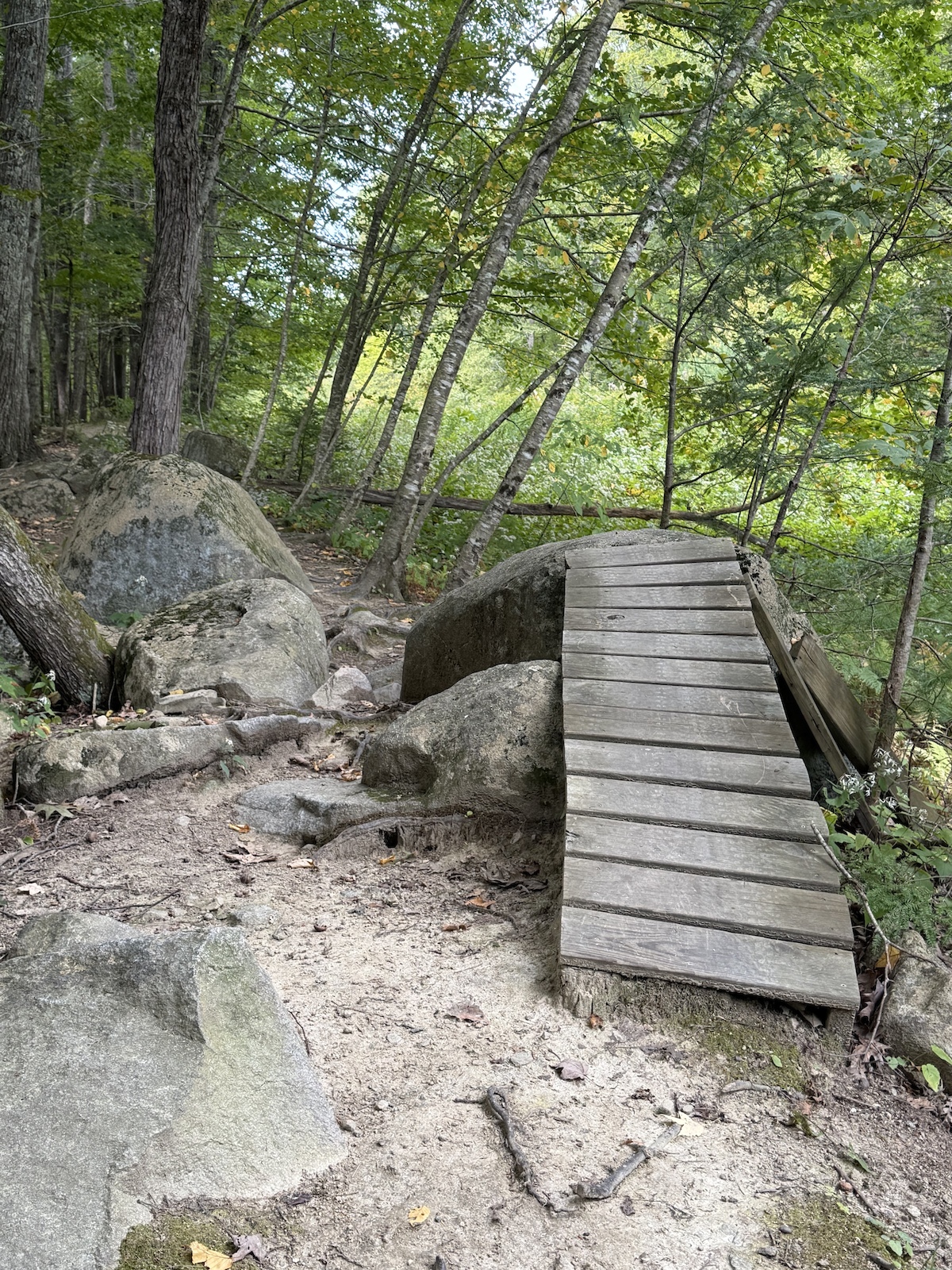 A wooden bridge crossing over rocks and boulders in a forested trail.
