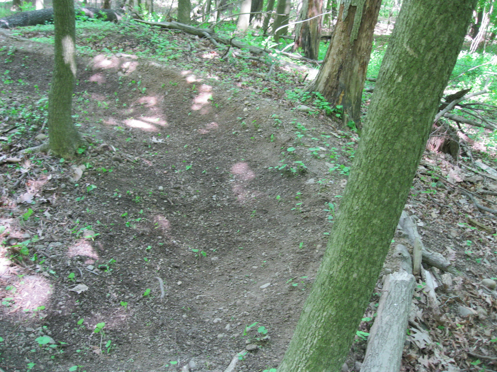 raked out berm on main trail