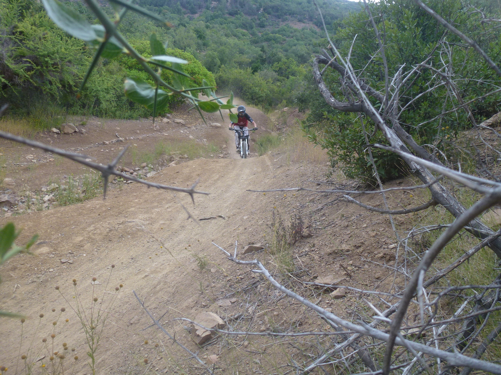 primeras fotos en pinkbike, intento de whip
