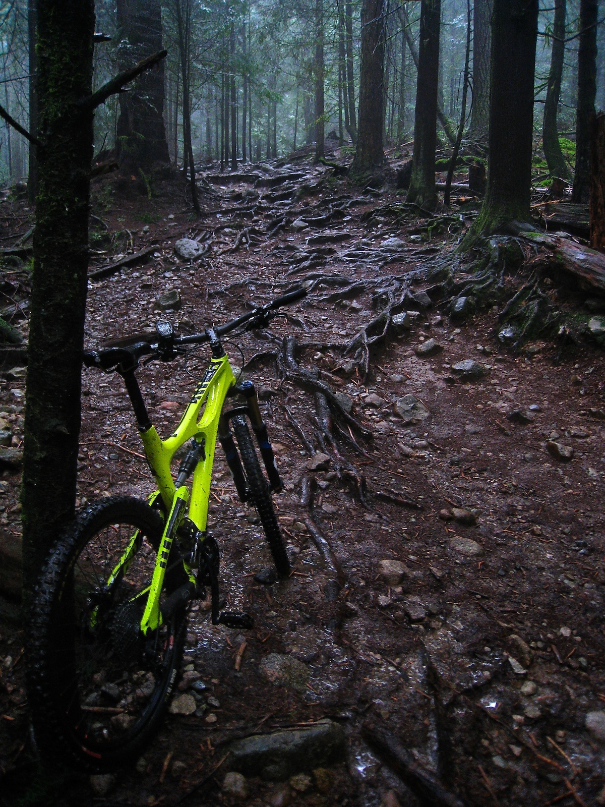 Ibis Mojo HD

XC in BC...
