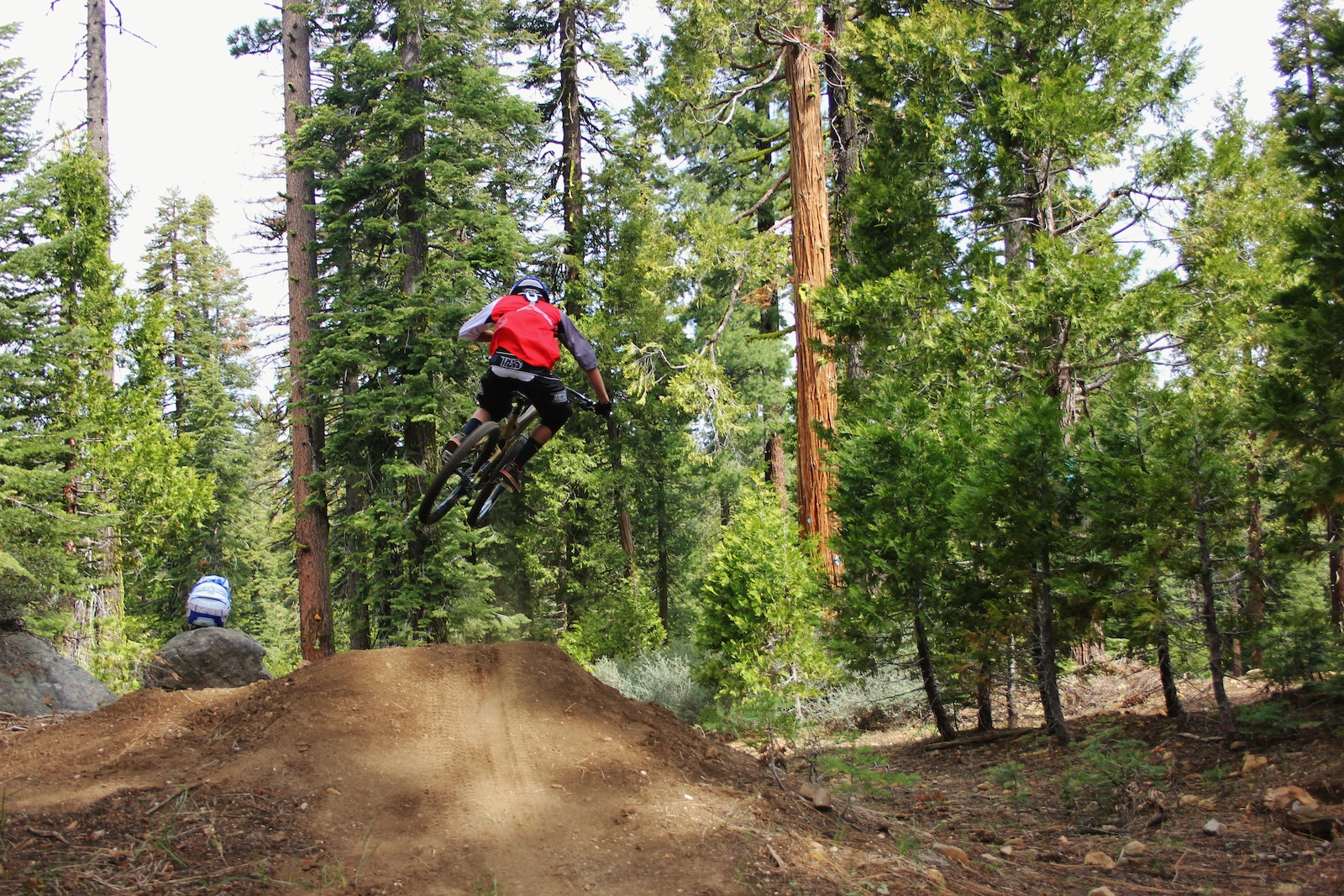 Couldn't find a whip photo for whip it wednesday, so this is here instead.