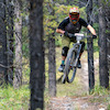 acdownhill avatar